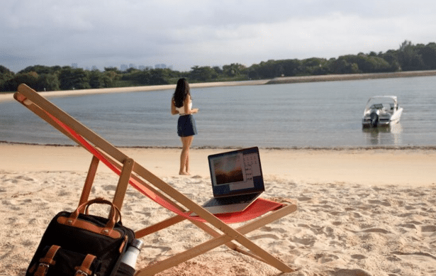 sail life bridle snubber review