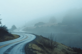 kimaree 7080 highway 61 apt 102