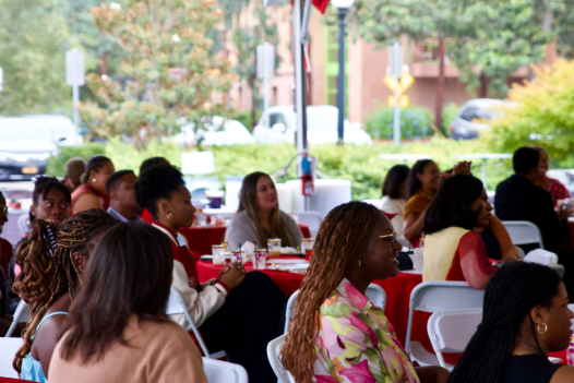 delta sigma theta returning citizen event 2023