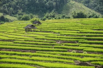 travel time for chiang mai to oiuxmay