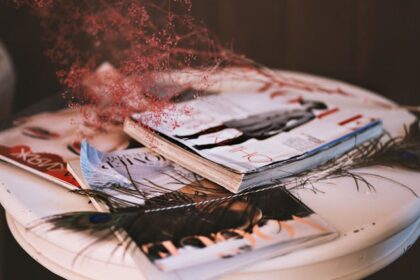 feedbackmagazines.org